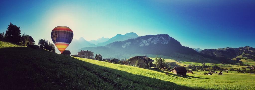Family B&B Le Vieux Chalet シャトー・デー エクステリア 写真