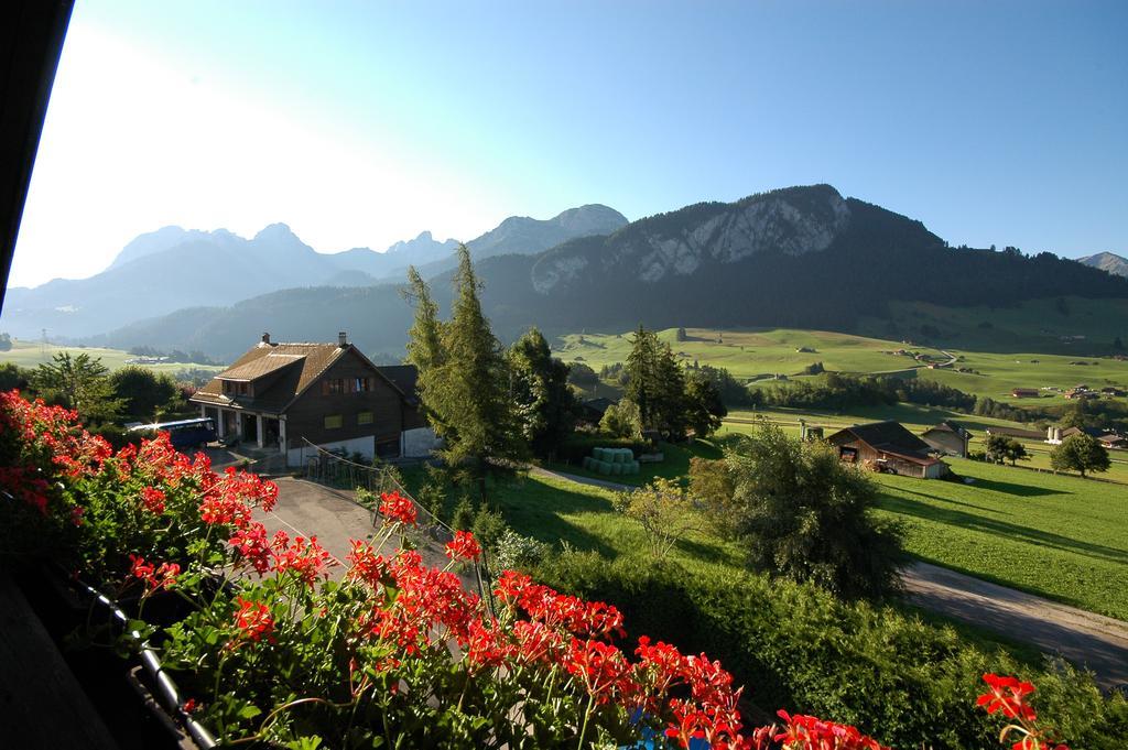 Family B&B Le Vieux Chalet シャトー・デー エクステリア 写真
